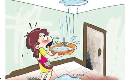 楼上漏水新闻爆料,紧急排查修复刻不容缓  第3张